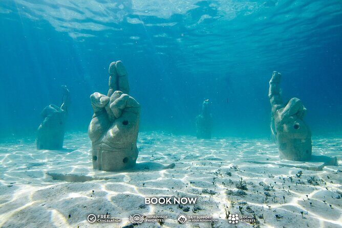 Coral Reef Snorkeling Expedition from Cancun with Beachside Lunch - Who Should Consider This Tour?