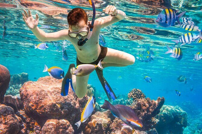 Coral Reef Snorkeling Expedition from Cancun with Beachside Lunch - Frequently Asked Questions