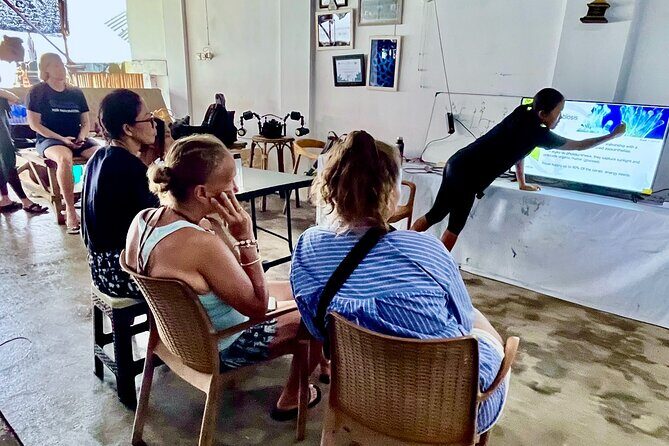 Coral Restoration Snorkeling Tour On Nusa Penida with NGO - Key Points