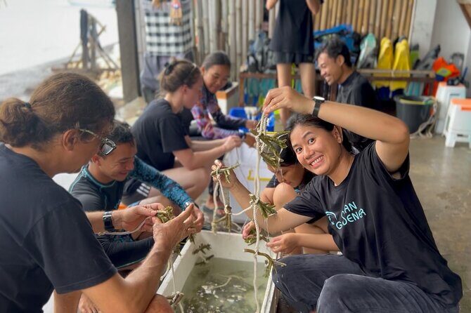 Coral Restoration Snorkeling Tour On Nusa Penida with NGO - Who Should Consider This Experience?