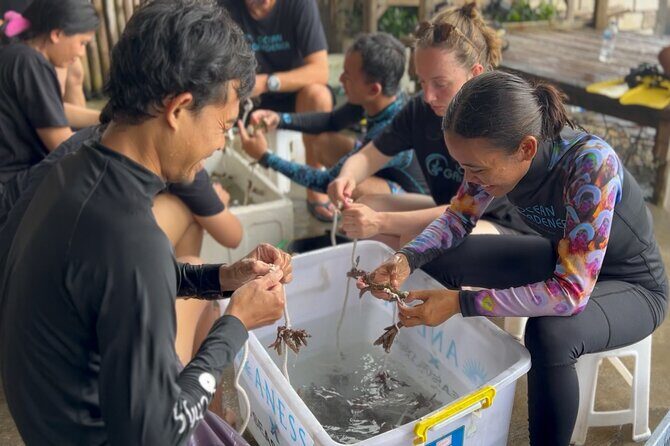 Coral Restoration Snorkeling Tour On Nusa Penida with NGO - Frequently Asked Questions