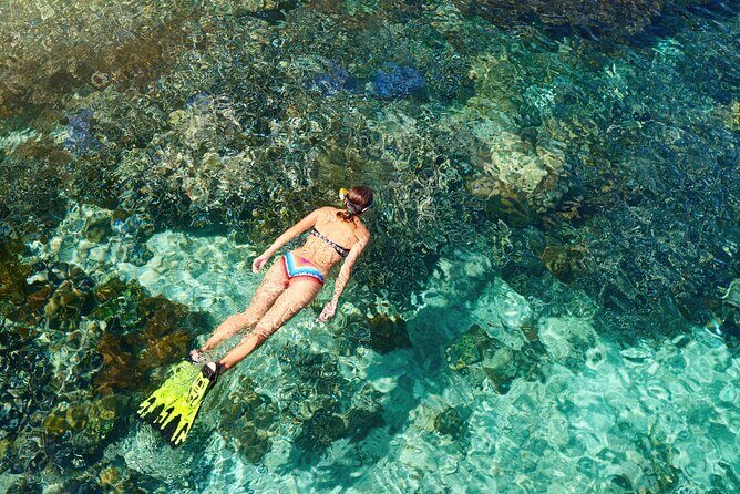 Coral Snorkeling Private Tour in Punta Cana with Seafood Lunch - Is This Tour Worth the Cost?