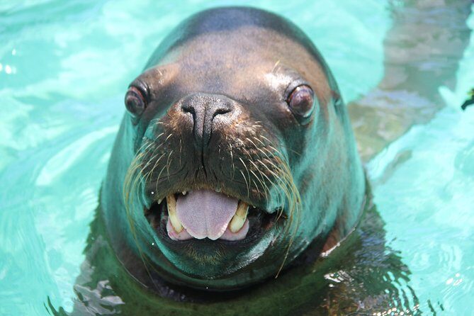 Coral World Ocean Park General Admission Ticket - Frequently Asked Questions