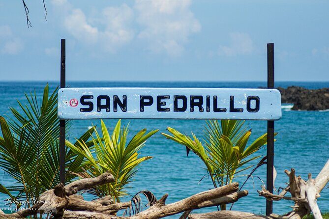 Corcovado Hiking Tour - Key Points