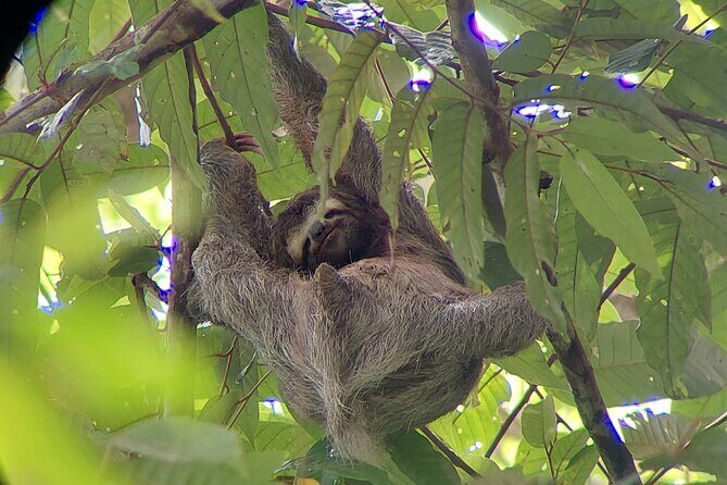 Corcovado National Park Hike San Pedrillo Station - Considerations to Keep in Mind