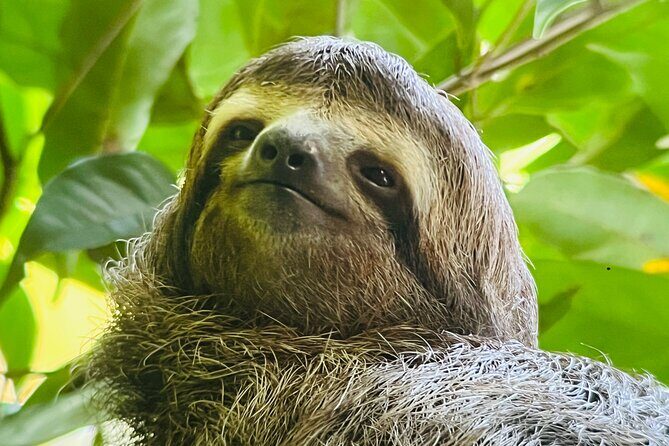 Corcovado National Park: Mermaid day tour From Puerto Jimenez - Corcovado National Park: Mermaid Day Tour From Puerto Jimenez