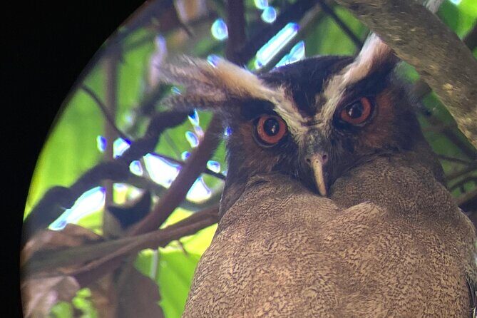 Corcovado National Park San Pedrillo Station from Uvita - Final Thoughts