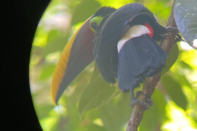 Corcovado National Park San Pedrillo Station from Uvita - Frequently Asked Questions