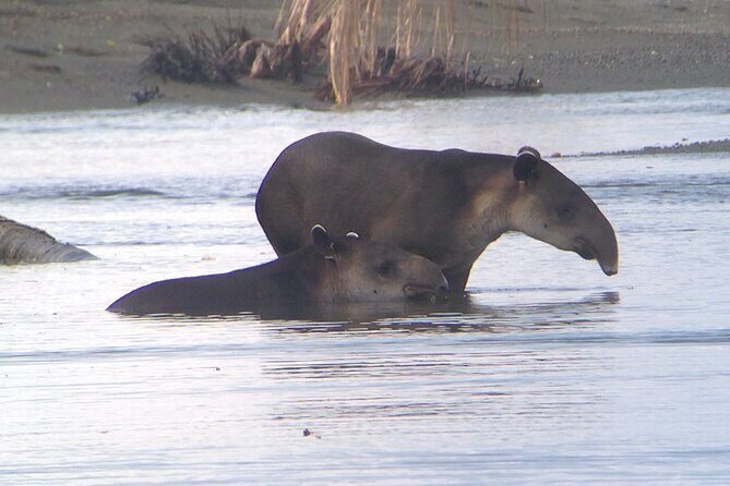 Corcovado Sirena Station Overnight - Key Points