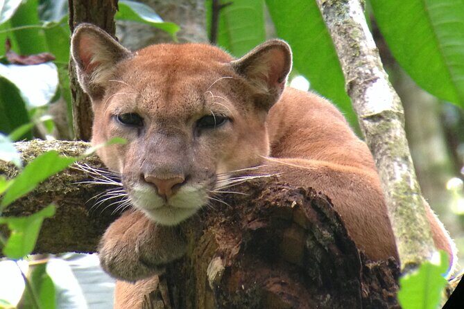 Corcovado Sirena Station Overnight - Who will love this tour?