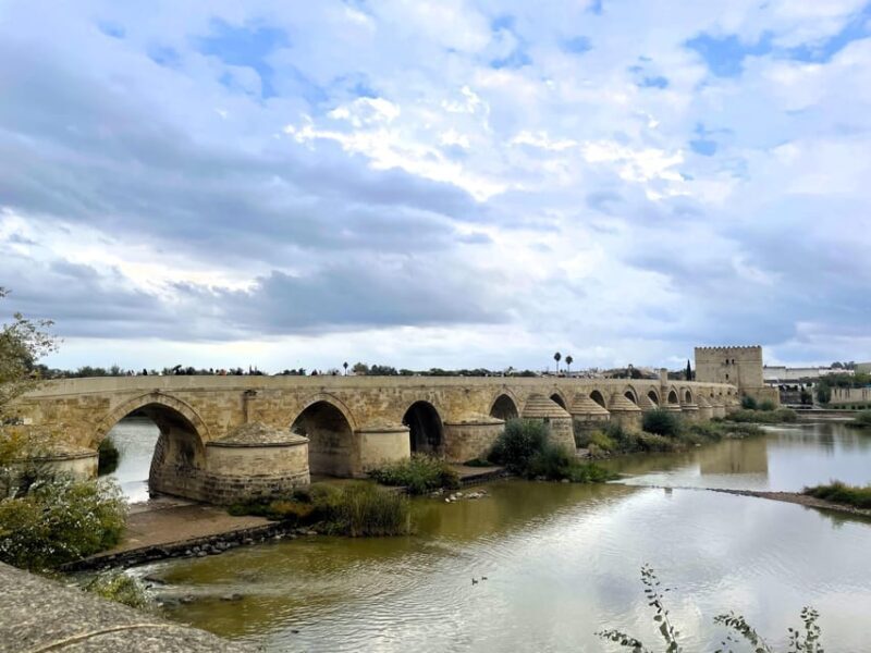 Cordoba: City Highlights Private Walking Tour - Discovering Córdoba: A Walk Through History