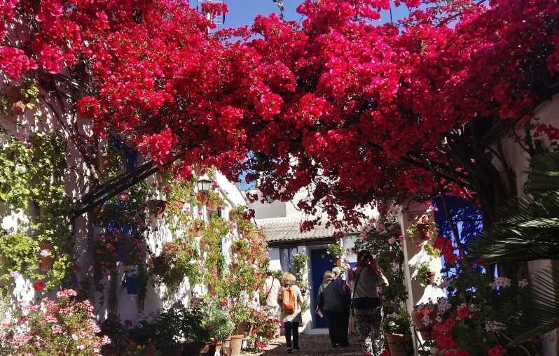 Cordoba Courtyards by Bike, Electric Bike - Exploring Cordoba’s Patios by Bike: A Practical Guide