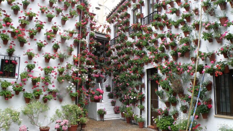 Cordoba Courtyards by Bike, Electric Bike - The Experience of Cycling Through Cordoba