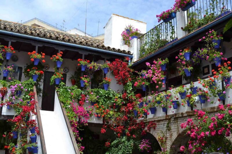 Cordoba Courtyards by Bike, Electric Bike - What the Reviews Say