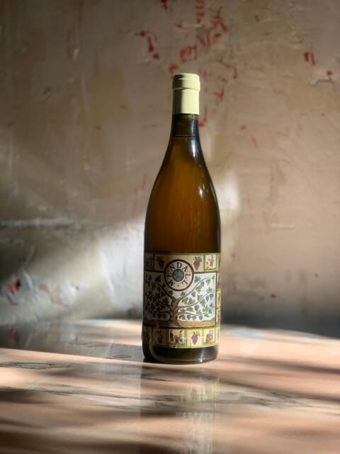 Córdoba: Discover the Soul of Spanish Natural Wine & Cuisine - Value and Practical Tips