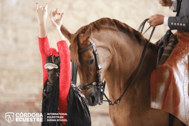 Cordoba: Equestrian Show General Entry - Who Will Love This Tour?