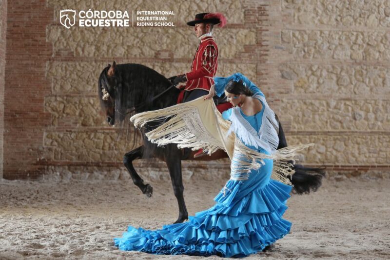 Cordoba: Equestrian Show General Entry - Final Verdict
