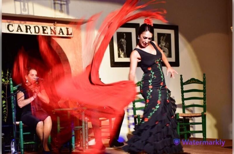 Córdoba: Flamenco Show Ticket with Drinks - Discover Córdoba’s Flamenco Magic: An Authentic Night of Passion and Rhythm