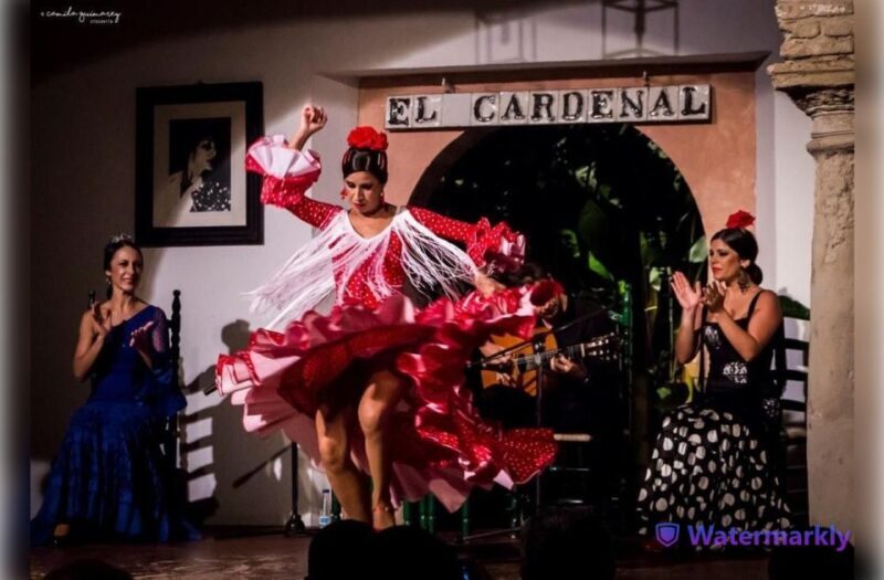 Córdoba: Flamenco Show Ticket with Drinks - Final Word