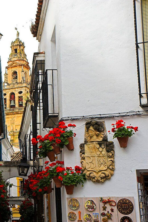 Cordoba Guided Day Trip from Seville - Discovering Cordoba: An 8-Hour Guided Day Trip from Seville