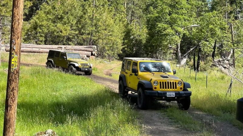 Cordoba: Guided Jeep Tour in Stanislaus National Forest - Cordoba: Guided Jeep Tour in Stanislaus National Forest