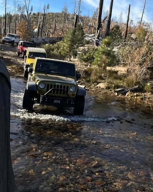 Cordoba: Guided Jeep Tour in Stanislaus National Forest - Key Points