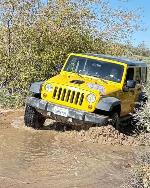 Cordoba: Guided Jeep Tour in Stanislaus National Forest - Who Will Love This Tour?