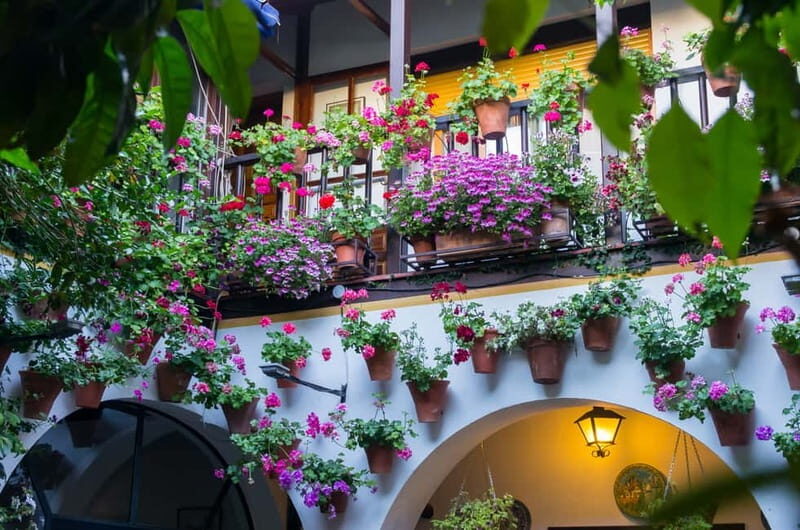 Córdoba: Guided tour in Spanish to the courtyards of Córdoba - A Detailed Look at the Córdoba Patios Tour