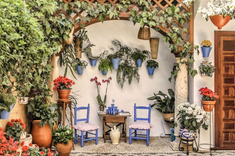 Córdoba: Guided Tour of the Patios - Córdoba: Guided Tour of the Patios – A Deep Dive into Andalusia’s Floral Heritage