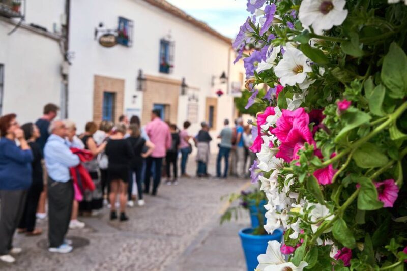 Córdoba: Guided Tour of the Patios - The Practicalities and Value