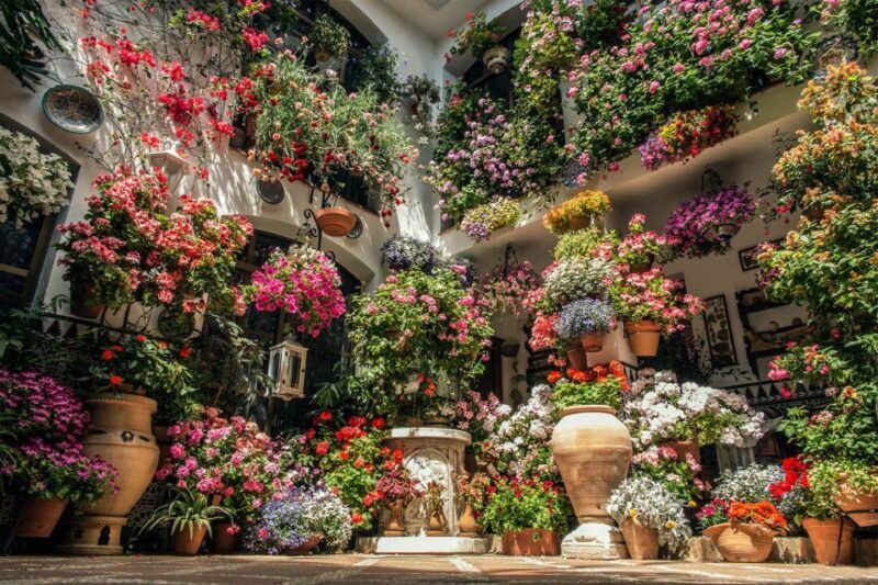 Córdoba: Guided Tour of the Patios - Who Will Enjoy This Tour?