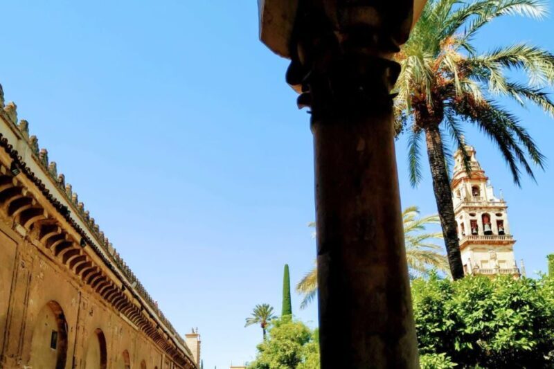 Cordoba Highlights Full-Day Tour from Granada - A Deep Dive into the Córdoba Highlights Tour