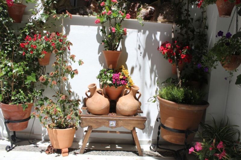 Cordoba Highlights Full-Day Tour from Granada - Final Thoughts: Who Should Book This Tour?