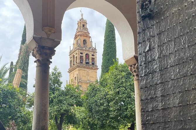 Cordoba Highlights Private Walking Tour - A Deep Dive into Córdoba’s Charm in Just Two Hours