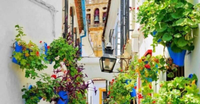Cordoba: Historical Monuments of Cordoba City Walking Tour - Why This Tour Works