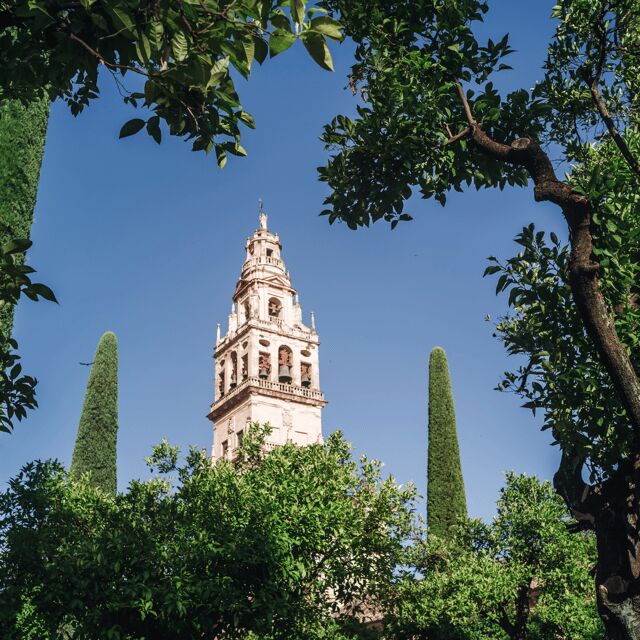 Córdoba Monumental desde la Costa del sol - Who Should Consider This Tour?