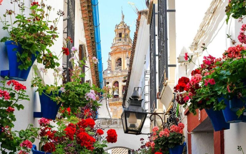 Córdoba: Mosque and Alcazar Private Tour with tickets - A Deep Dive into the Córdoba Experience