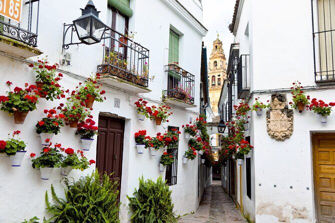 Cordoba Mosque-Cathedral & City Private Tour - FAQ