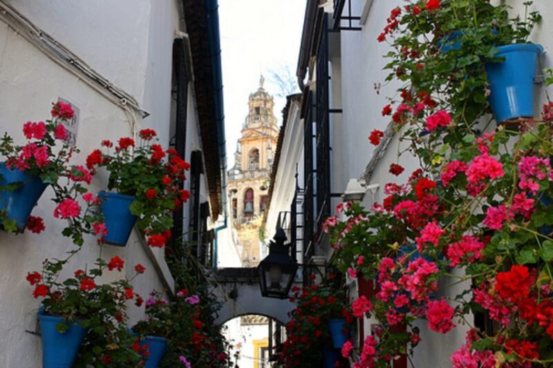 Córdoba: Mosque-Cathedral of Cordoba Private Walking Tour - Córdoba: Mosque-Cathedral of Córdoba Private Walking Tour