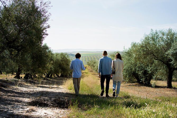 Cordoba Olive Oil mill, Wine, Passion - Exploring Cordoba’s Olive Oil Mill, Wine, and Passion Tour