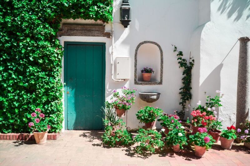 Cordoba: Patios and Viana Palace Tour - An In-Depth Look at the Cordoba Patios and Viana Palace Tour