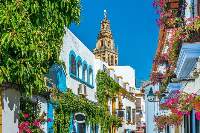 Cordoba Private Daytrip from Sevilla by Train - Who This Tour Is Best For