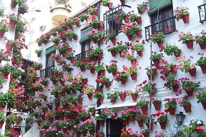 Cordoba private tour from Granada for up to 8 persons including the great Mosque - Key Points
