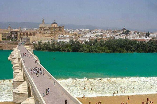 Cordoba private tour from Seville including the great Mosque for up to 8 persons - An In-Depth Look at the Tour Experience