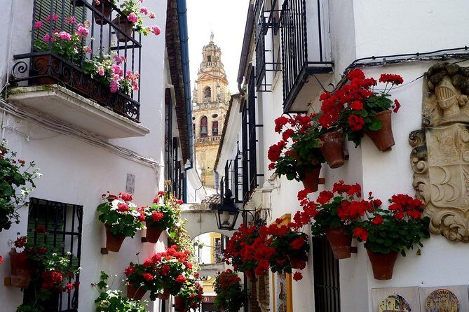 Cordoba & & The Mosque Small-Group Day Tour from Seville - Frequently Asked Questions