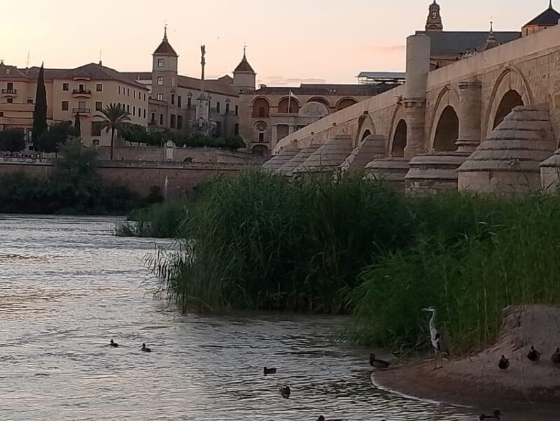 Córdoba: Tour of the three cultures to see the city in a day - The Experience: Real Insights & Authentic Vibe
