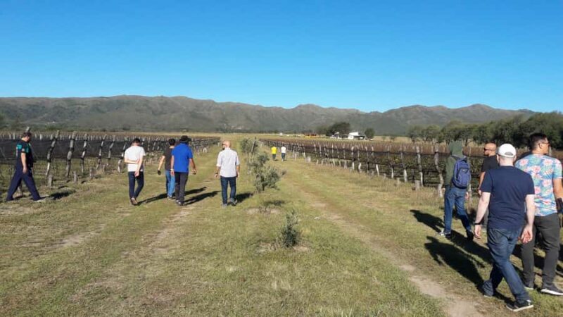 Córdoba: Wine Tour Privado a Calamuchita - Día completo - Córdoba: Wine Tour Privado a Calamuchita - Día completo