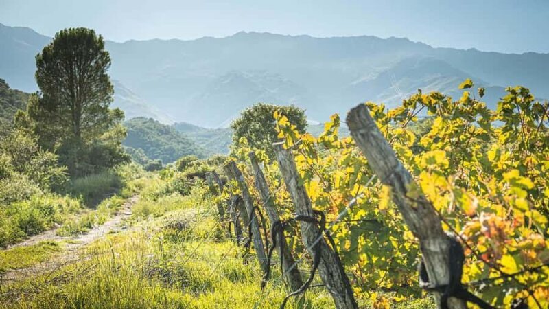 Córdoba: Wine Tour Privado a Calamuchita - Día completo - FAQ