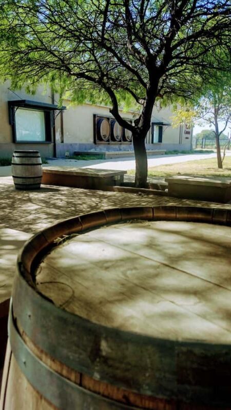 Córdoba: Wine Tour Privado a Colonia Caroya - Día completo - What You Can Expect from the Córdoba Wine Tour Privado