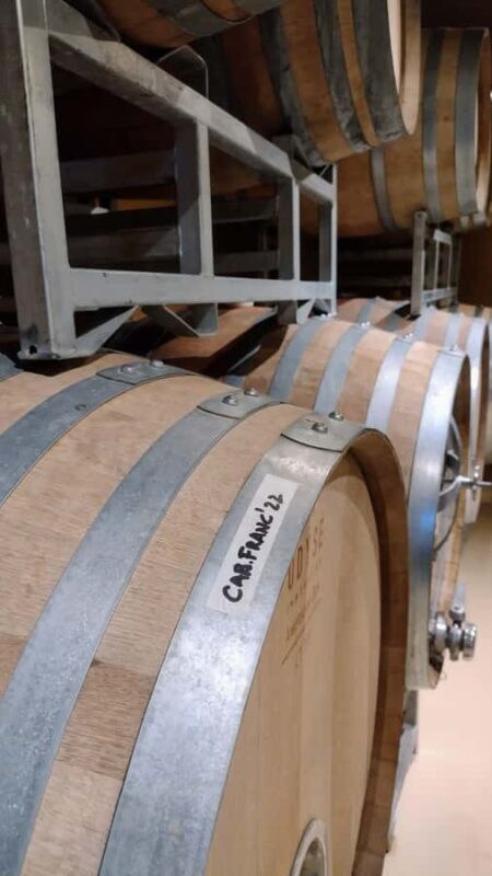 Córdoba: Wine Tour Privado a Colonia Caroya - Día completo - In The Sum Up